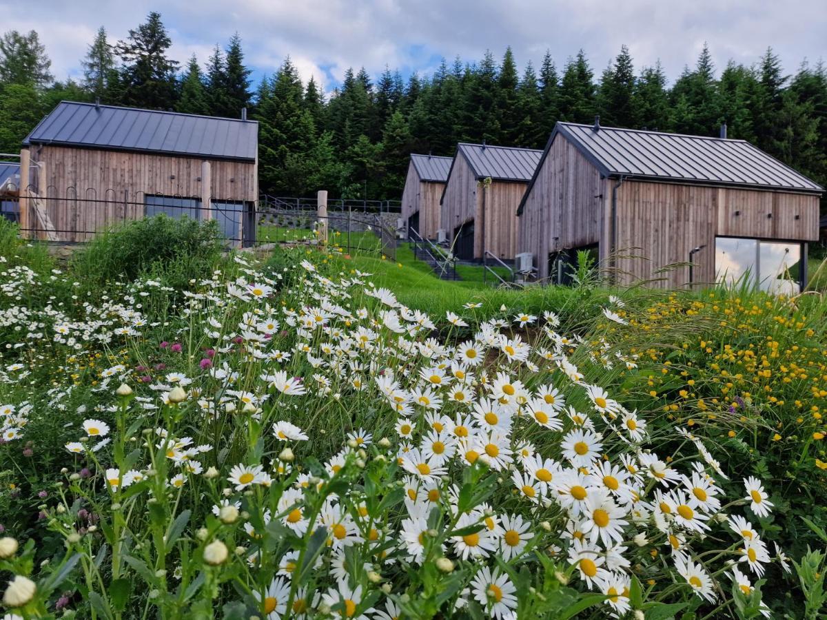 Domki Z Gorki Na Pazurki Falsztyn Exteriér fotografie